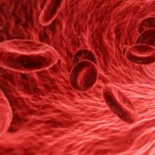 What is it and why does it want to kill me? DTVs