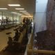Get physical with Westminster’s personal trainers