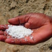 What is it and why does it want to kill me? Sodium