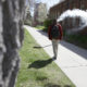 Vape culture loses steam on Westminster’s campus