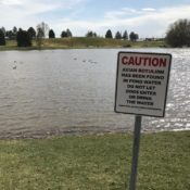 Sugar House Park plans to go forward with dredging project after animals have become sick and died