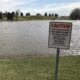 Sugar House Park plans to go forward with dredging project after animals have become sick and died
