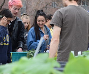 Annual Earth Day celebration highlights waste at Westminster