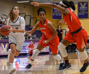 Westminster athletics earns eight Brechler awards
